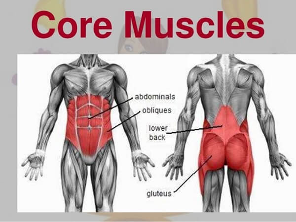 Các cơ được sử dụng khi chơi bóng rổ 2